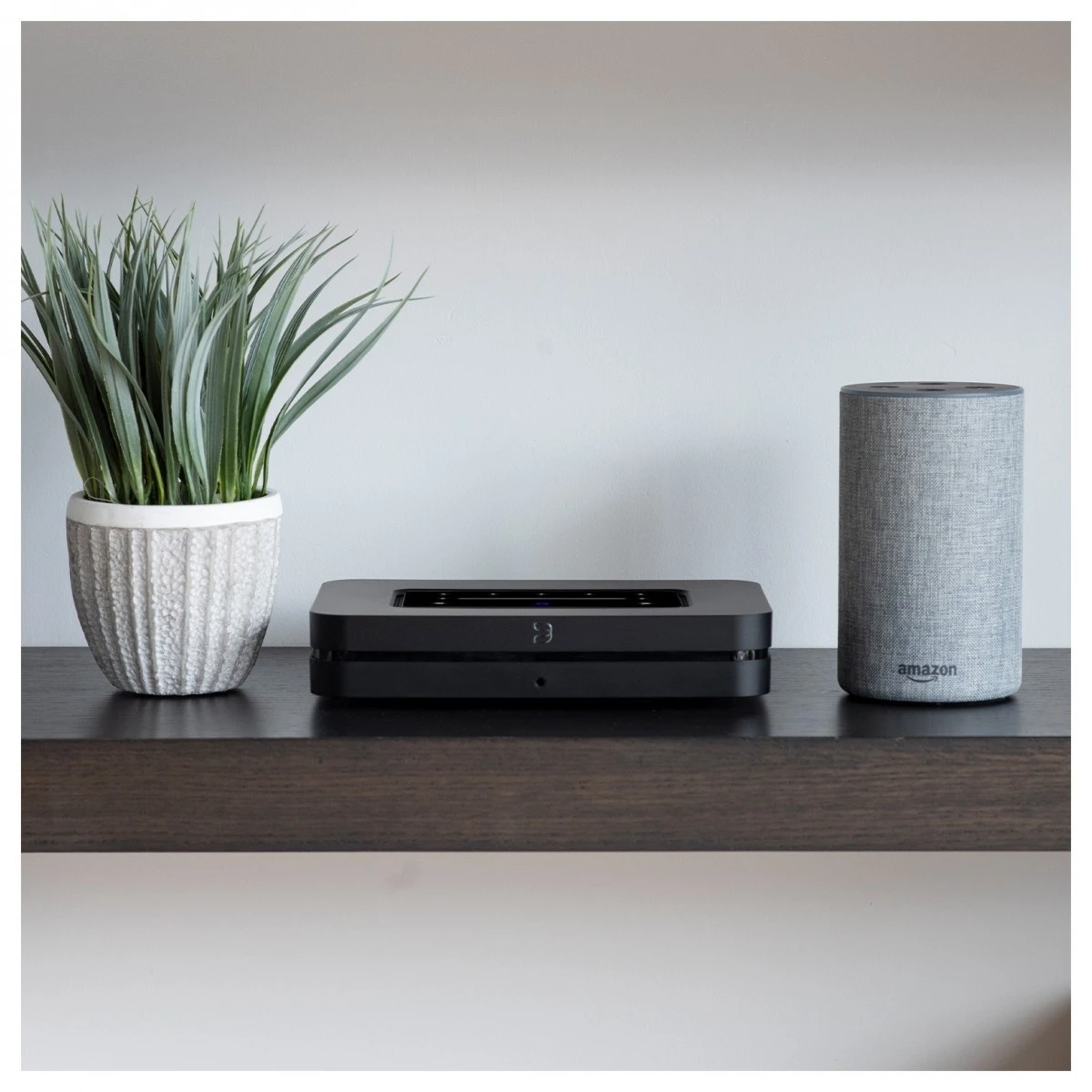 Bluesound NODE Wireless Music Streamer, Black With Free Phono Cable - Image 5