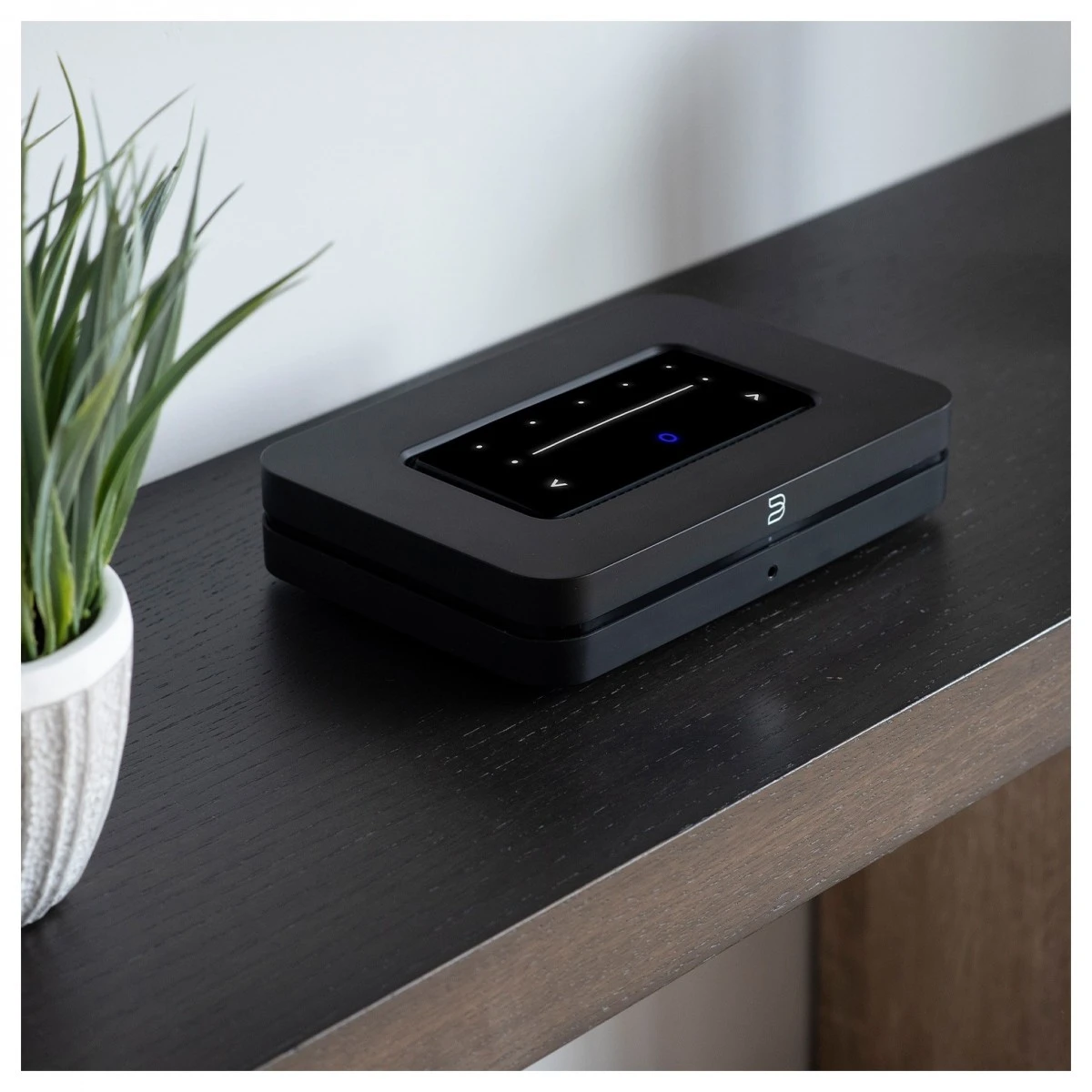 Bluesound NODE Wireless Music Streamer, Black With Free Phono Cable - Image 8