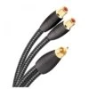 AudioQuest Male RCA To 2 Female RCA Splitter Cable