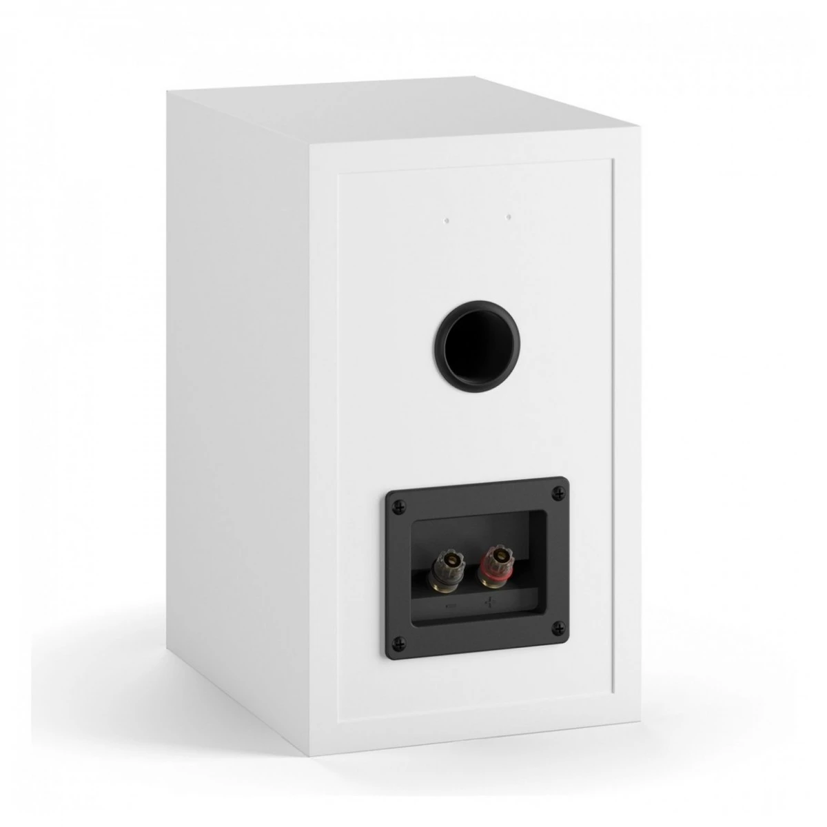 Denon RCD-M41 DAB Micro System With DALI SPEKTOR 2 Speakers, White - Image 7