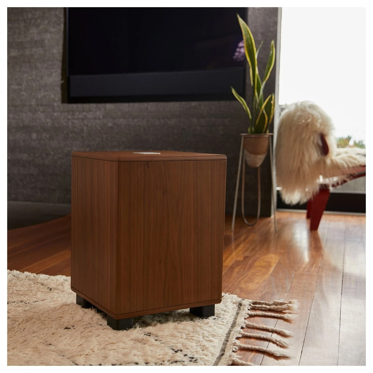 REL Classic 98 Subwoofer - Image 5